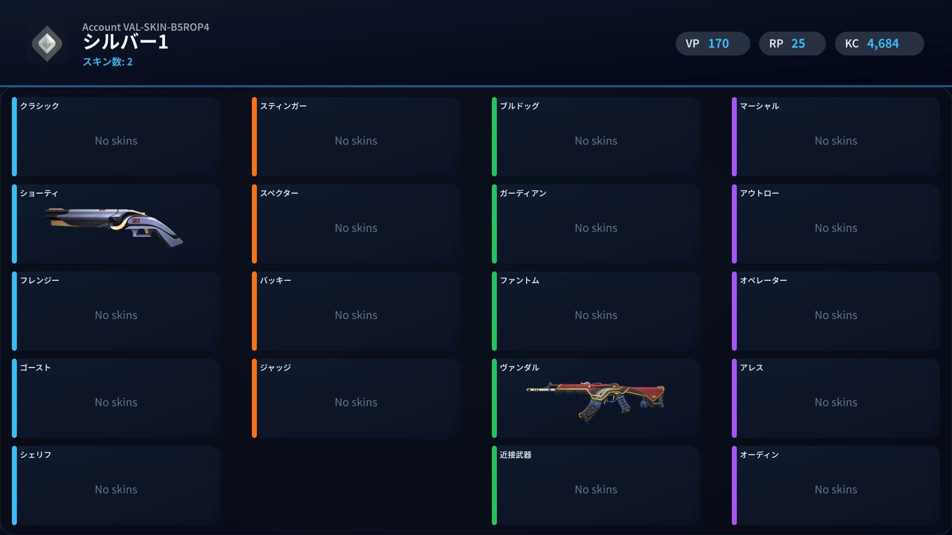 Silver 1 account preview